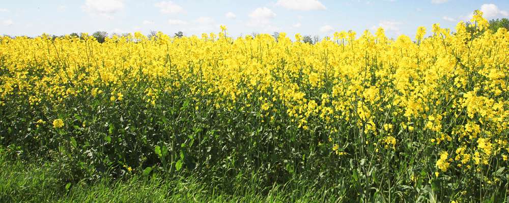 GreenCoat® - overfladebehandling miljø